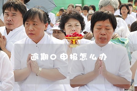 逾期0申报怎么办 逾期0申报怎么办