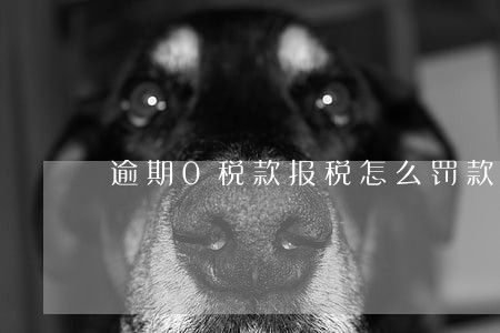 逾期0税款报税怎么罚款 逾期0税款报税怎么罚款
