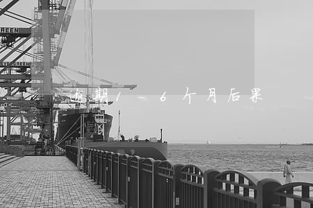 逾期1-6个月后果