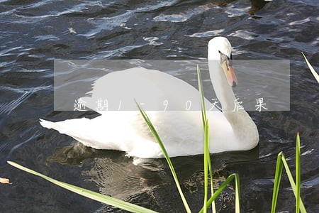 逾期1-90天后果 逾期1-90天后果