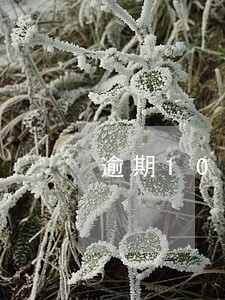 逾期10000一年利息 逾期10000一年利息