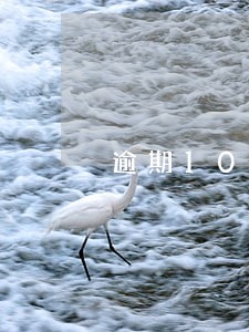 逾期10000三个月罚息 逾期10000三个月罚息