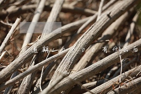 逾期10000有什么后果 逾期10000有什么后果