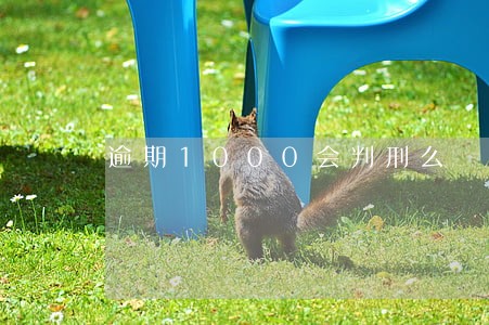 逾期1000会判刑么 逾期1000会判刑么