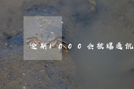 逾期1000会被爆通讯录吗 逾期1000会被爆通讯录吗