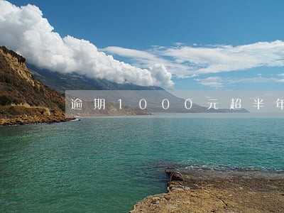 逾期1000元超半年 逾期1000元超半年