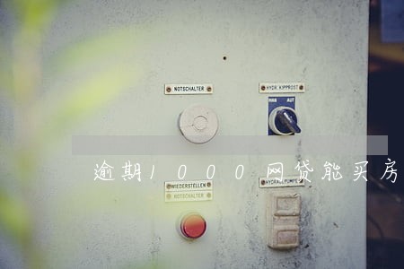 逾期1000网贷能买房吗