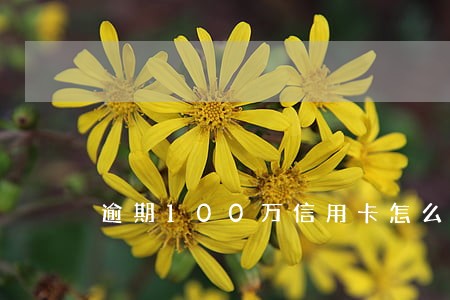 逾期100万信用卡怎么办
