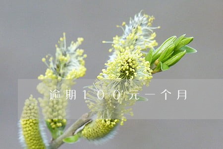 逾期100元一个月 逾期100元一个月