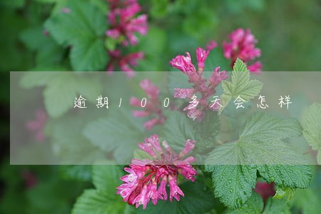 逾期100多天会怎样 逾期100多天会怎样