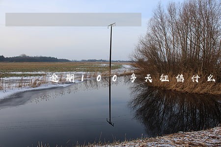 逾期100多天征信什么时候恢复 逾期100多天征信什么时候恢复