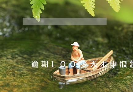 逾期100多天未申报怎么办