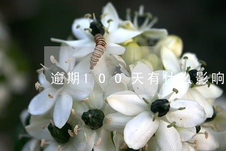 逾期100天有什么影响网贷