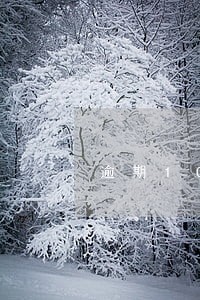 逾期10万信用卡滞纳金 逾期10万信用卡滞纳金