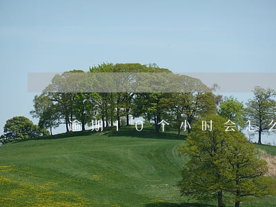 逾期10个小时会怎么样 逾期10个小时会怎么样