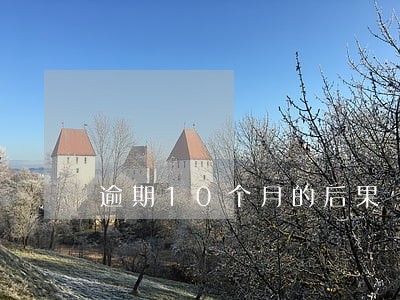 逾期10个月的后果