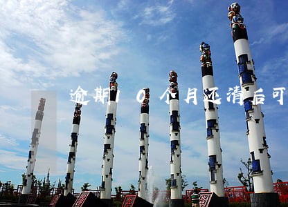 逾期10个月还清后可以买房吗