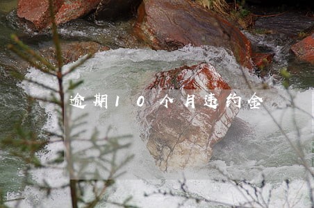 逾期10个月违约金 逾期10个月违约金