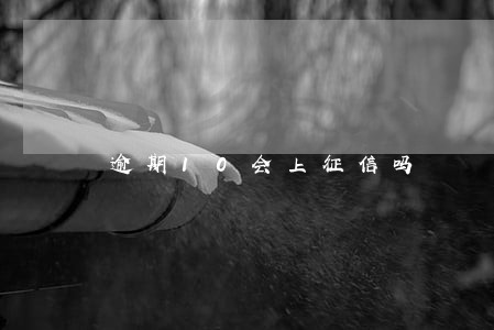 逾期10会上征信吗 逾期10会上征信吗