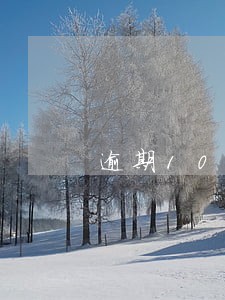 逾期10元一个月