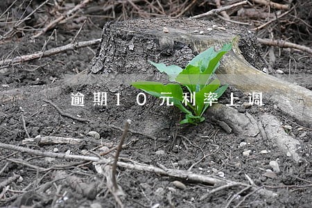 逾期10元利率上调 逾期10元利率上调