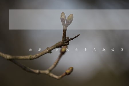 逾期10元次多久能恢复 逾期10元次多久能恢复