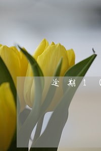 逾期10几分钟会上征信吗 逾期10几分钟会上征信吗