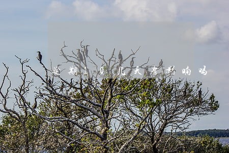 逾期10几天有影响吗