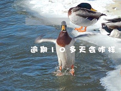 逾期10多天会咋样 逾期10多天会咋样