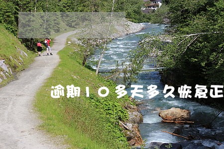 逾期10多天多久恢复正常