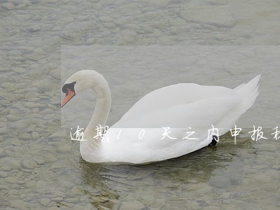 逾期10天之内申报税的后果 逾期10天之内申报税的后果