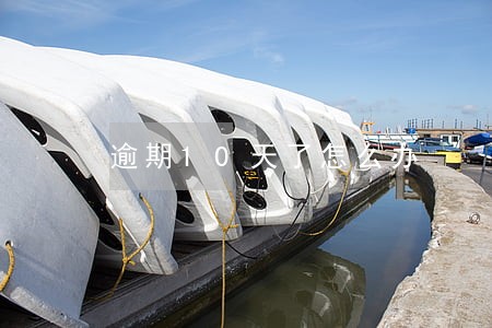 逾期10天了怎么办 逾期10天了怎么办