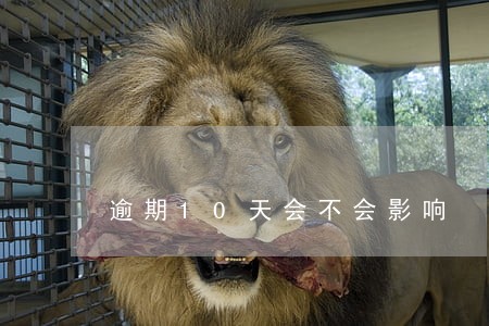 逾期10天会不会影响 逾期10天会不会影响