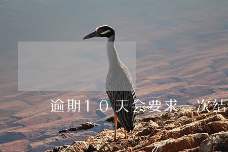 逾期10天会要求一次结清吗 逾期10天会要求一次结清吗