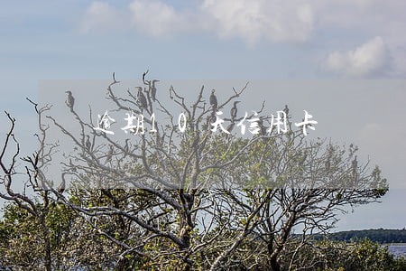逾期10天信用卡 逾期10天信用卡