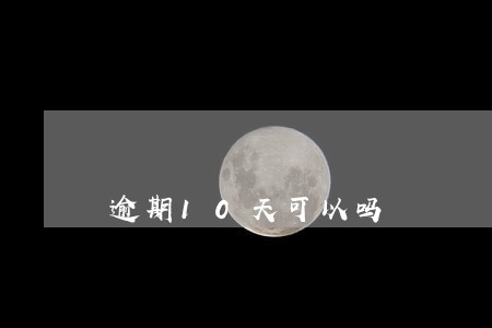 逾期10天可以吗 逾期10天可以吗