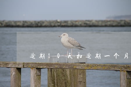 逾期10天和逾期一个月 逾期10天和逾期一个月