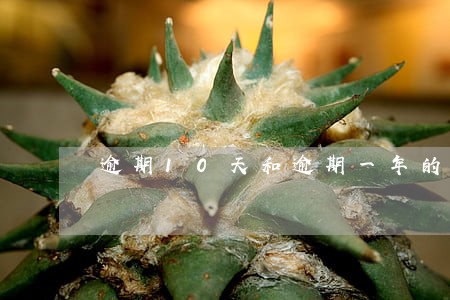 逾期10天和逾期一年的区别 逾期10天和逾期一年的区别