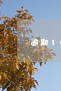 逾期10天多久恢复 逾期10天多久恢复