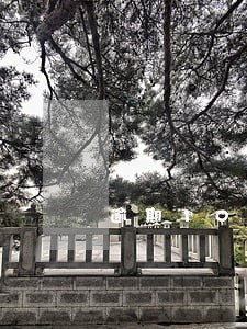 逾期10天征信多久会消除 逾期10天征信多久会消除