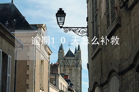 逾期10天怎么补救 逾期10天怎么补救