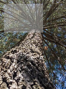 逾期10天怎样消除逾期记录 逾期10天怎样消除逾期记录