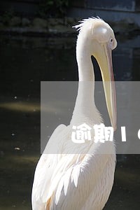 逾期10天报税会罚款吗 逾期10天报税会罚款吗
