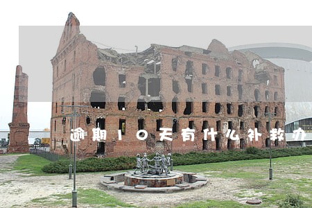 逾期10天有什么补救办法吗