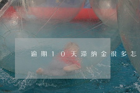 逾期10天滞纳金很多怎么办 逾期10天滞纳金很多怎么办