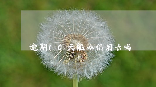 逾期10天能办信用卡吗 逾期10天能办信用卡吗