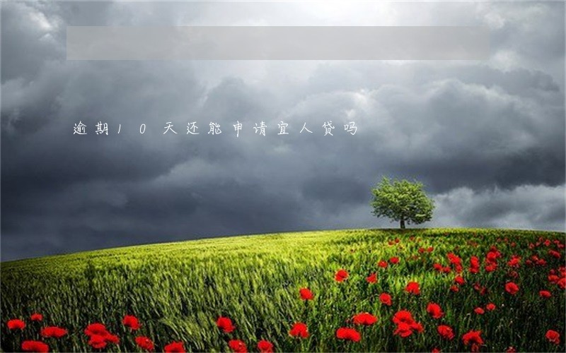 逾期10天还能申请宜人贷吗 逾期10天还能申请宜人贷吗