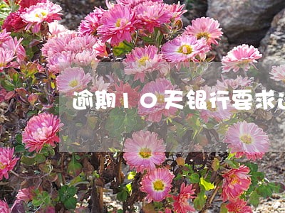 逾期10天银行要求还全款 逾期10天银行要求还全款