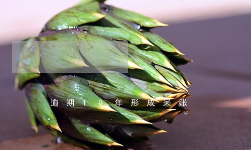 逾期10年形成呆账 逾期10年形成呆账