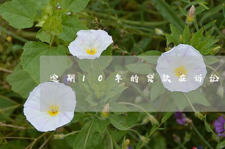 逾期10年的贷款在诉讼阶段 逾期10年的贷款在诉讼阶段